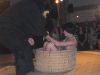 ball2009_44.JPG